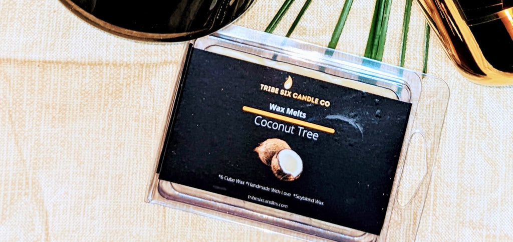 Primitive Midnight Candle Warmer-2